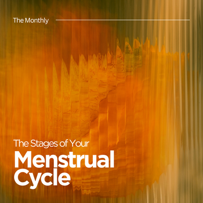 The Stages of your Menstrual Cycle